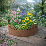 Deko Schale zum Bepflanzen 30cm x 15cm Edelrost